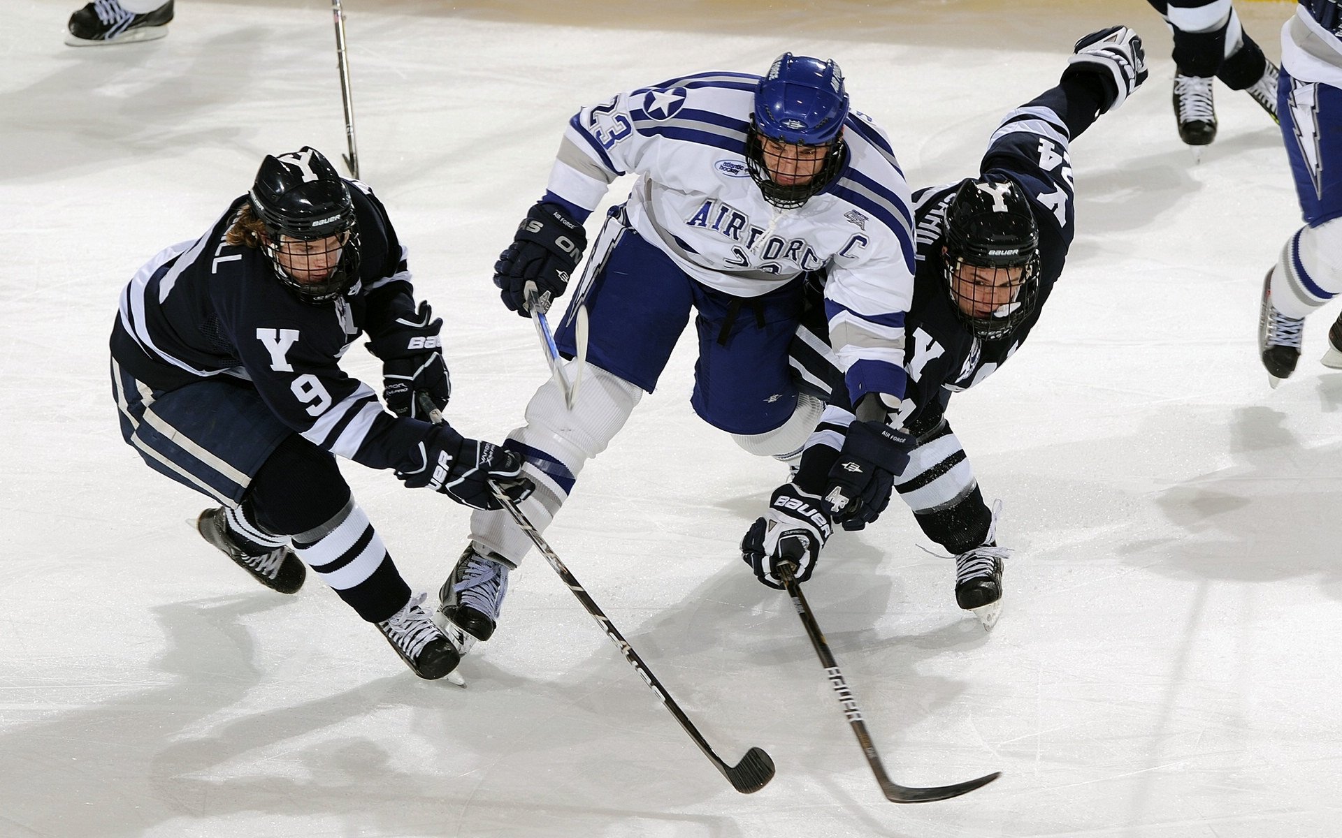 凯尔特人举行球队传统日回顾队史荣耀时刻，凯尔特人队史第5期